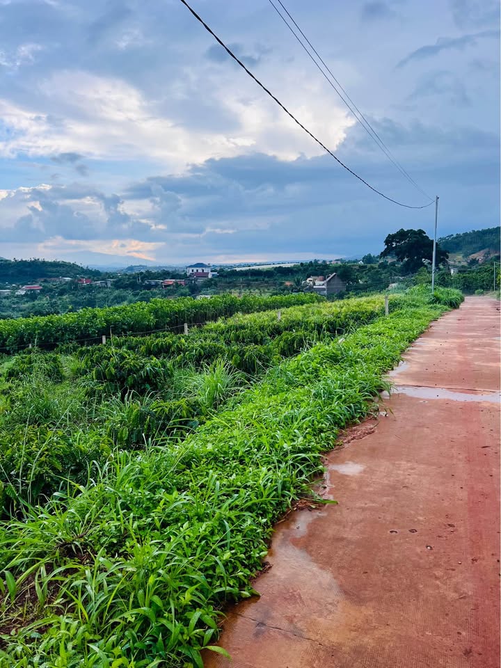 Đất nền Liên Nghĩa 653m² giá chỉ 1.69 tỷ - Cơ hội đầu tư tuyệt vời!