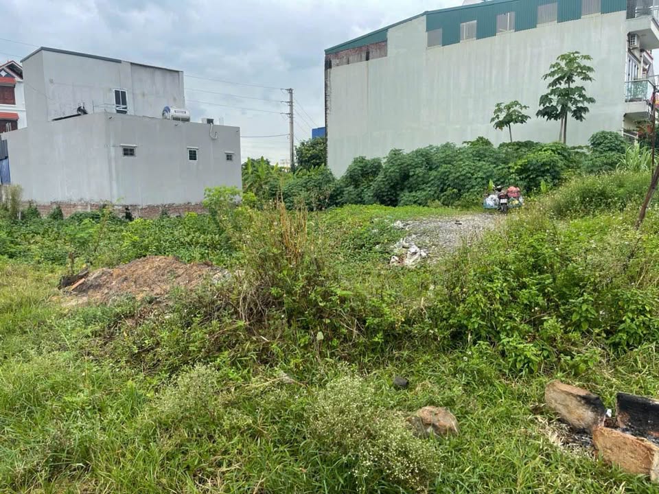 Đất nền Ninh Thắng 8m mặt tiền chỉ 6 tỷ - Đường thông thoáng, ô tô vào tận nơi!