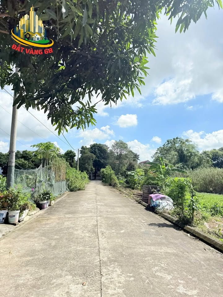 Đất nền Ninh Mỹ - 90m² giá 5 tỷ - Đầu tư sinh lời tuyệt vời!