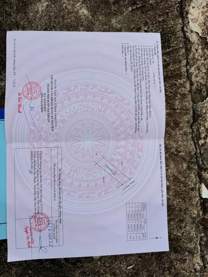 Đất thổ cư 95m² phường Thành Nhất, Buôn Ma Thuột chỉ 786 triệu - Đầu tư sinh lời ngay!