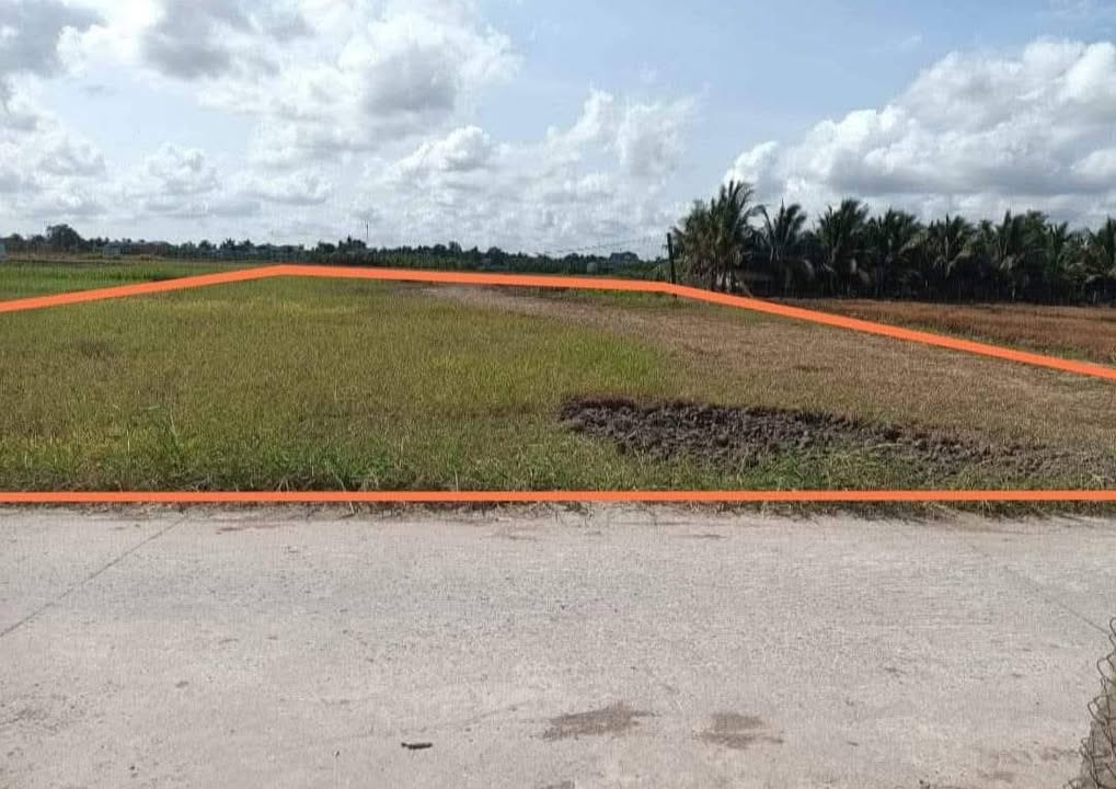 Đất lúa thổ cư mặt tiền Phạm Văn Kiểm 1950m² giá 3.5 tỷ - Cơ hội đầu tư tuyệt vời!