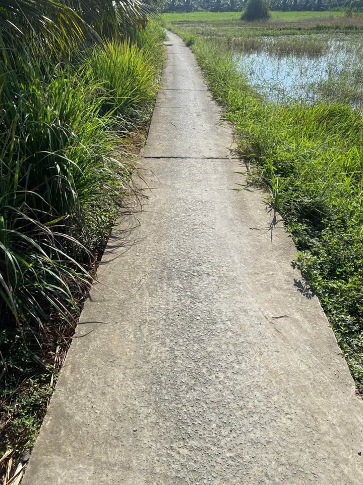 Đất vườn hẻm Châu Thị Kim, Tân An 495m² giá 850 triệu - Cơ hội đầu tư tuyệt vời!