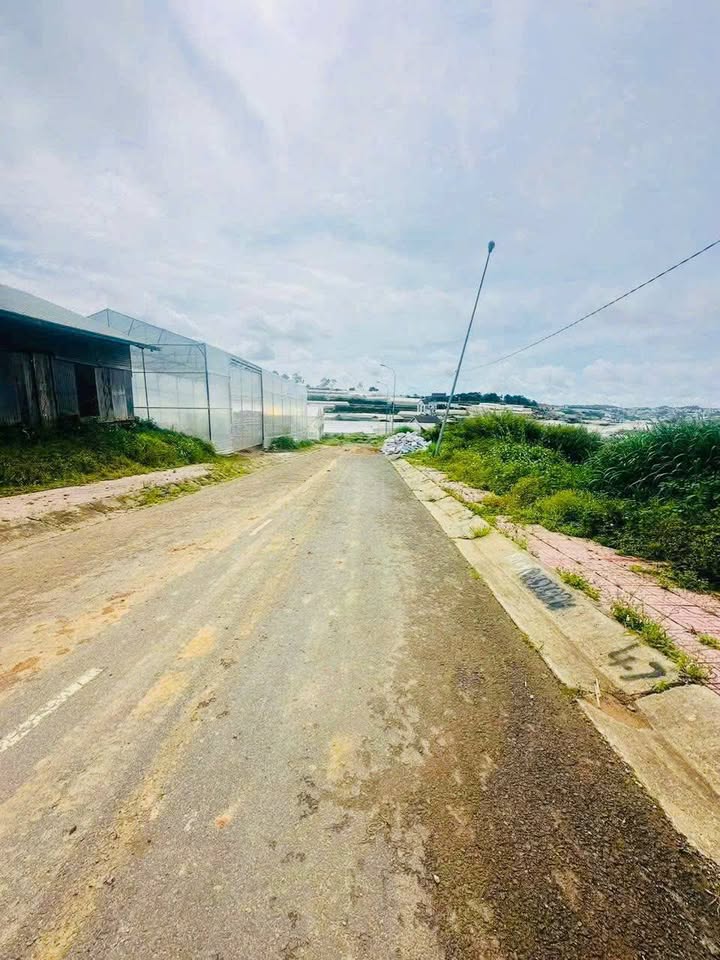 Đất nền khu dân cư Nguyễn Hoàng Đà Lạt 100m² giá 4.3 tỷ - Sổ riêng xây dựng