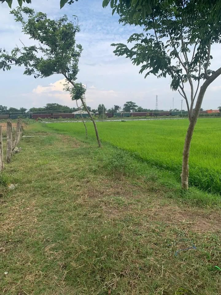 Đất nông nghiệp 3.1 sào tại xã Hồng Liêm - Giá chỉ 702 triệu - Đường ô tô tới đất!