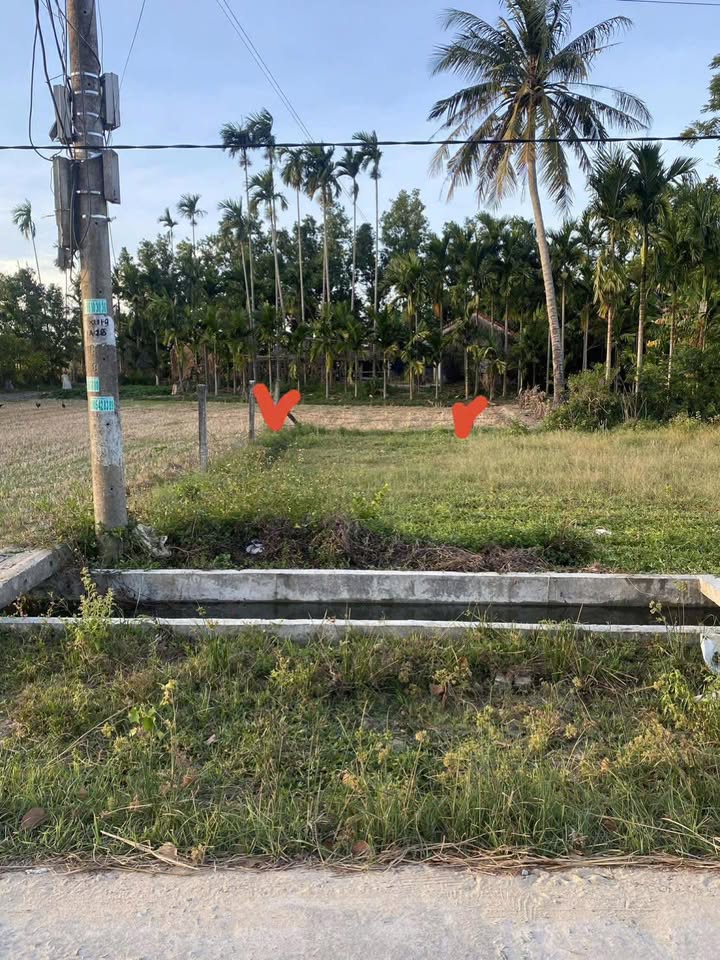 Đất nền Tam Xuân 2 105.9m² giá 300 triệu - Chính chủ bán gấp!