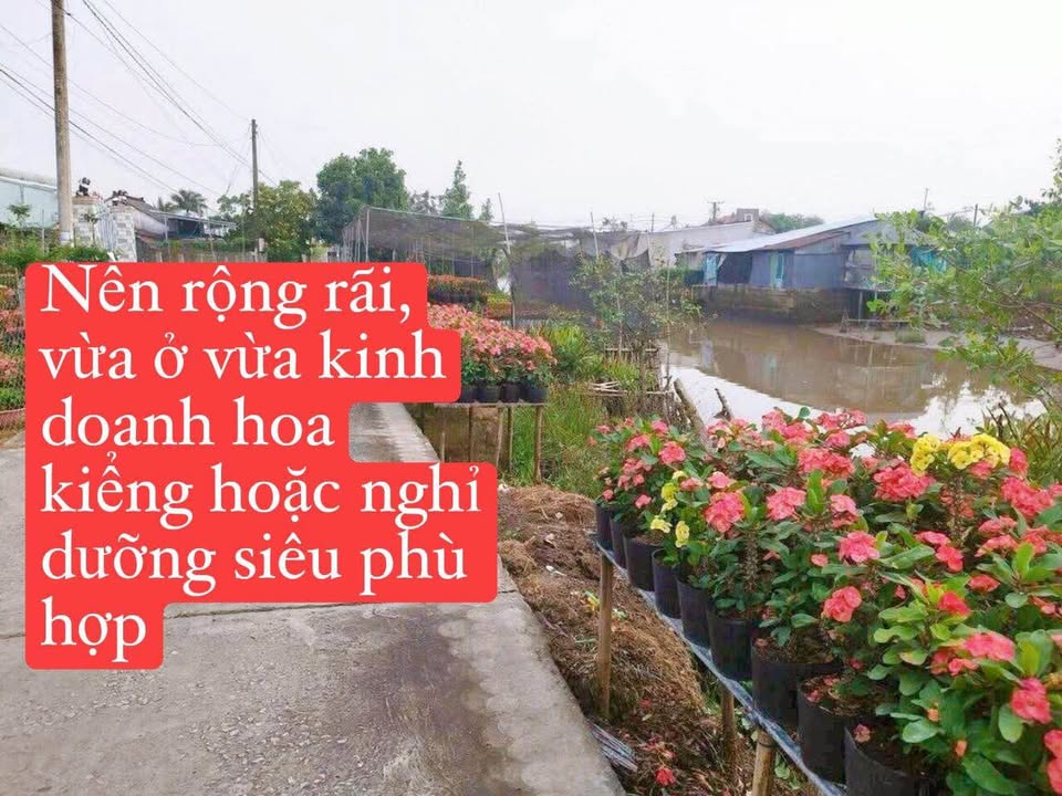 Đất nền đường Phạm Hồng Thái, phường Sa Đéc 308,1m² - Nhà cấp 4 sẵn có!