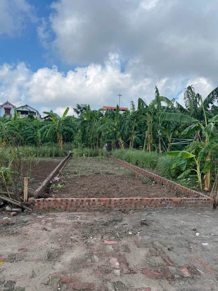 Đất nền Kim Sơn - Thuận An 80m² giá 7 tỷ - Ô tô tránh, vị trí vàng đầu tư!