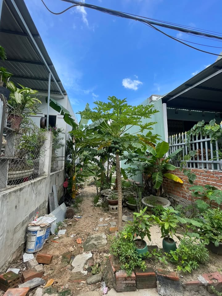 Đất nền Trần Quang Diệu, Quy Nhơn 76m² giá 900 triệu - Cơ hội đầu tư hấp dẫn!