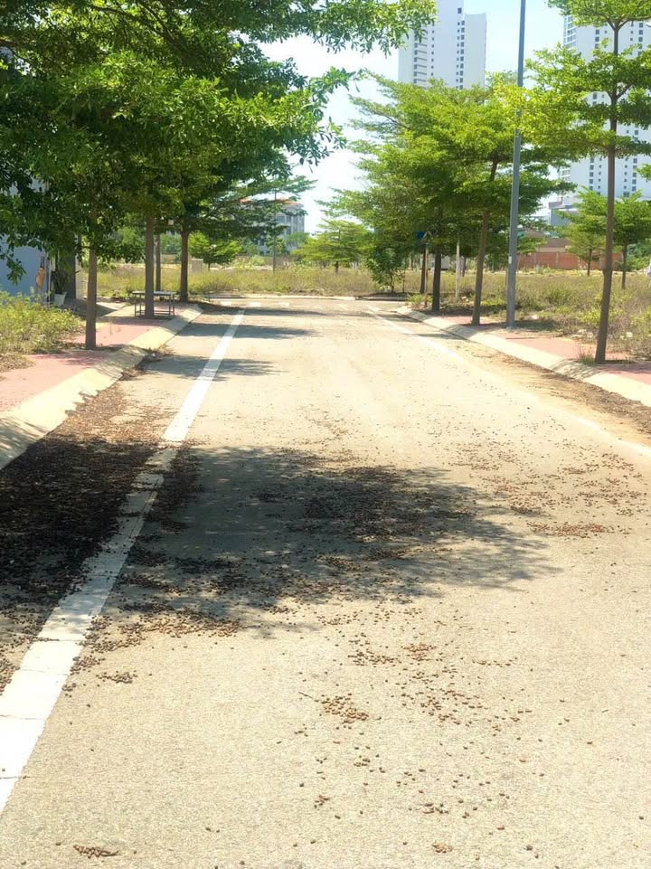 Đất nền khu TĐC hạt nhân Phường Mỹ Bình 100m² giá 2.35 tỷ - Pháp lý rõ ràng, nhanh chóng công chứng!