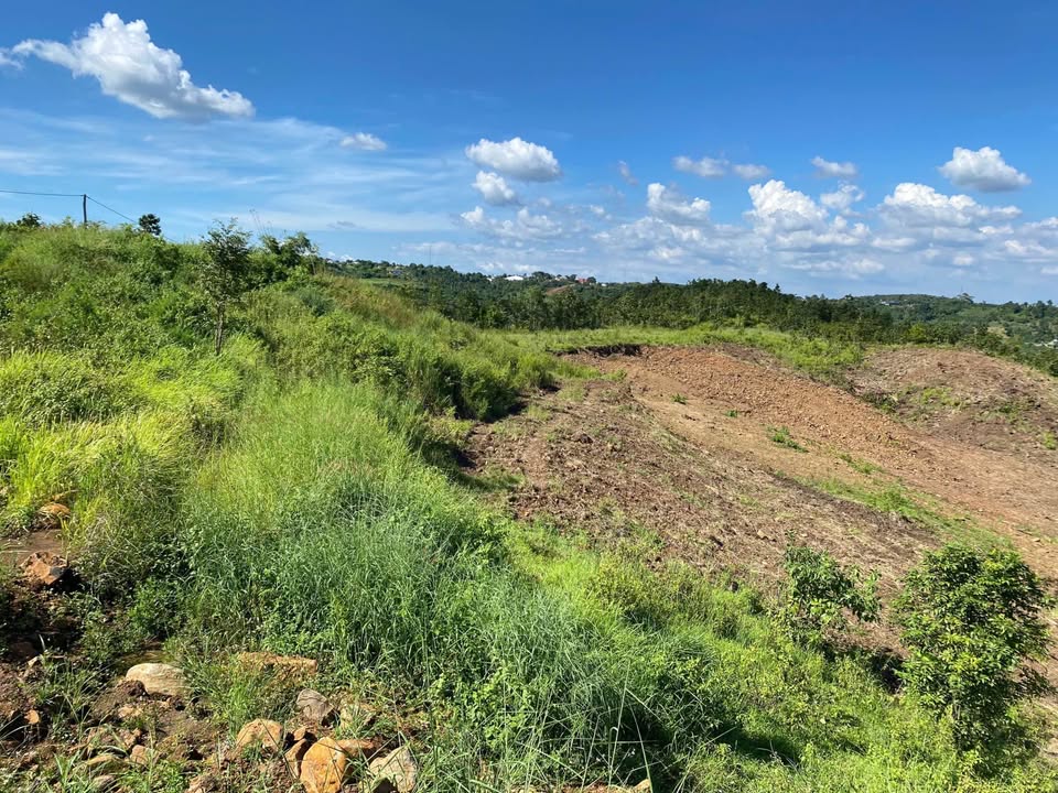 Đất nền Đắk R'La Đắk Mil 36.000m² giá 650 triệu - Cơ hội đầu tư tuyệt vời!