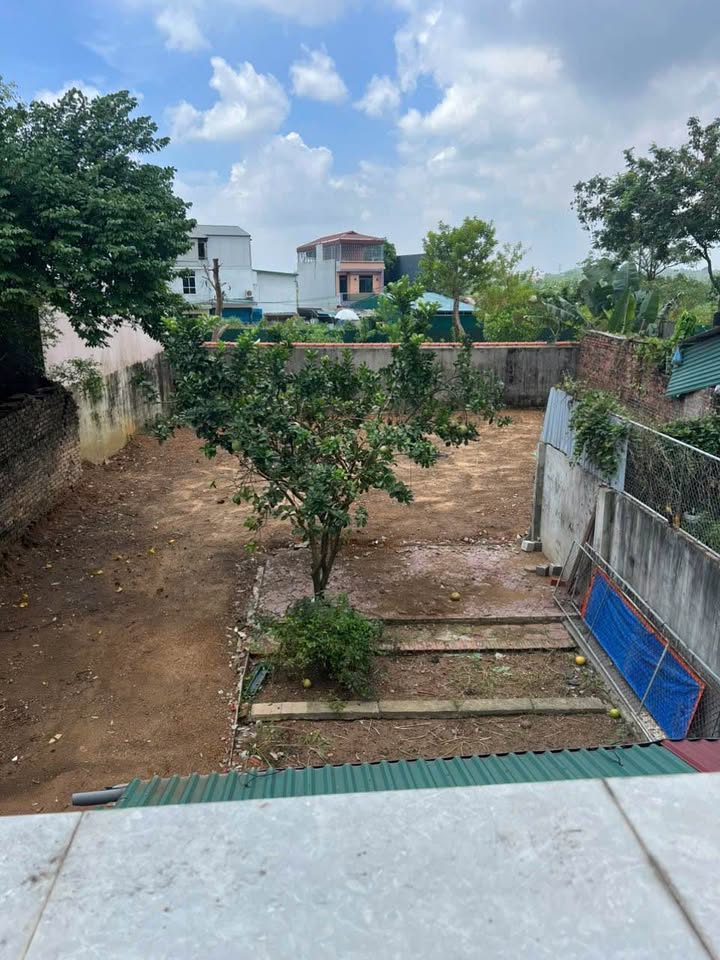 Bán gấp 02 ô đất liền kề tại phường Vân Phú, Việt Trì - Diện tích 585m², chính chủ!