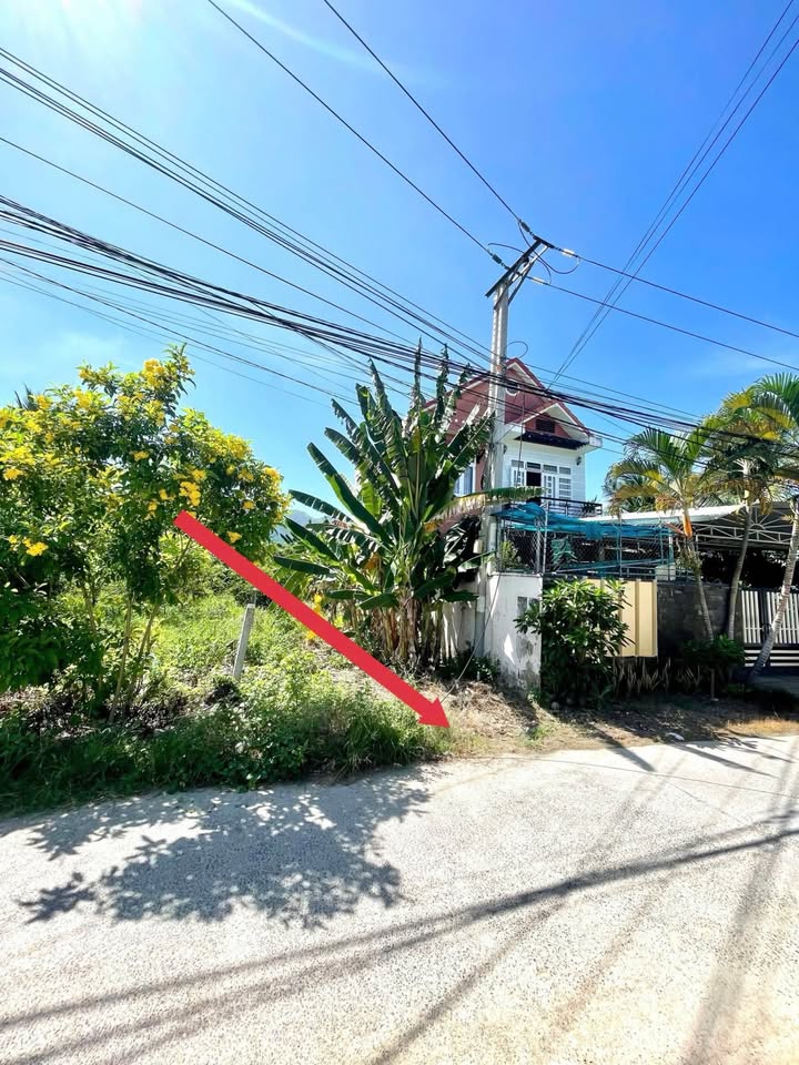 Bán đất thổ cư 200m² đường Cầu Cháy, Diên An - Giá chỉ 2.6 tỷ, cơ hội đầu tư sinh lời!