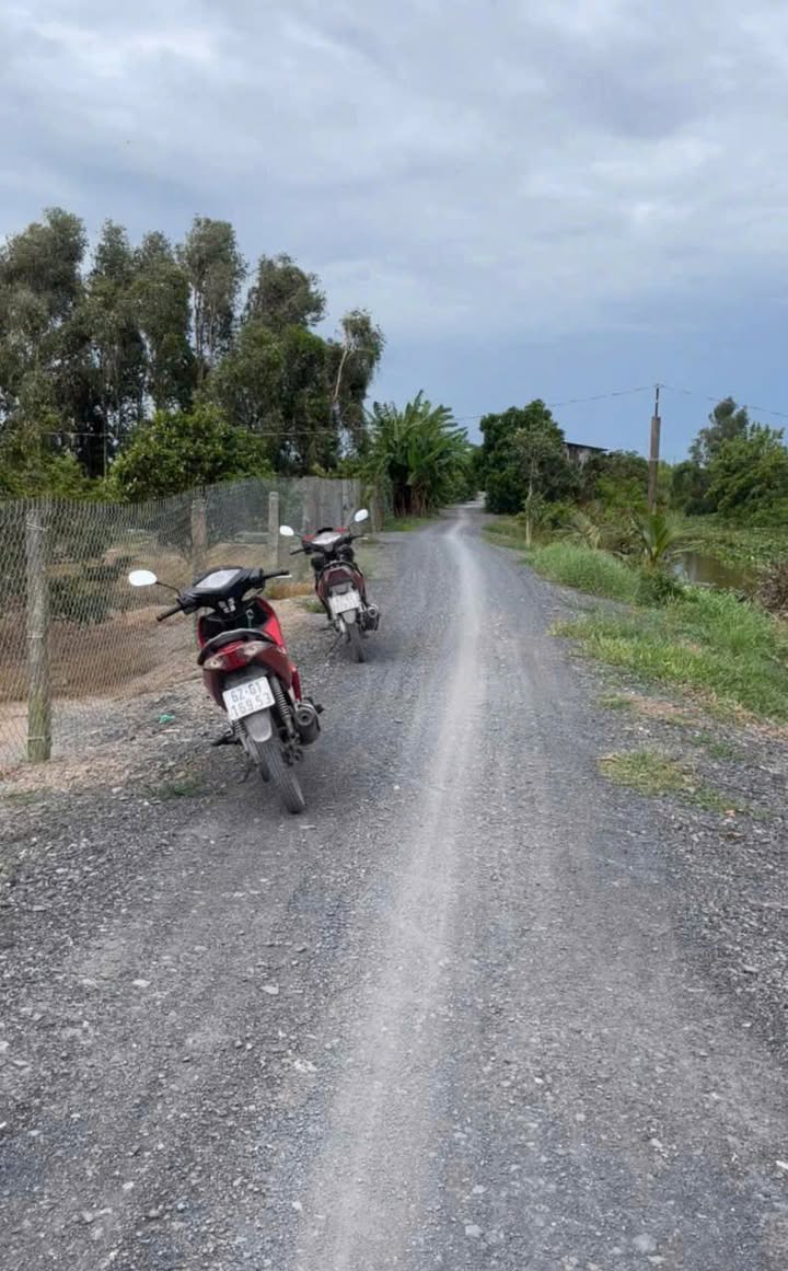 Đất thổ cư 20.000m² tại Long Thạnh, Thủ Thừa - Chỉ 3.4 tỷ, mặt tiền sông lớn!