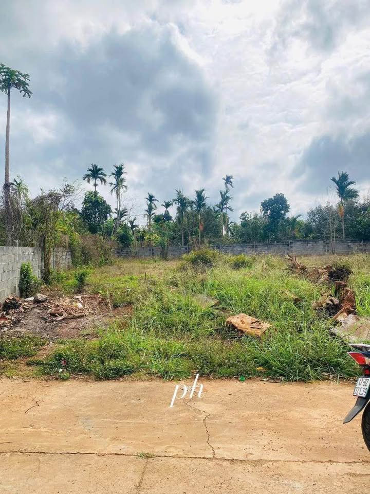 Đất nền Tân Lập, Buôn Ma Thuột 170m² giá 899 triệu - Đầu tư sinh lời ngay!