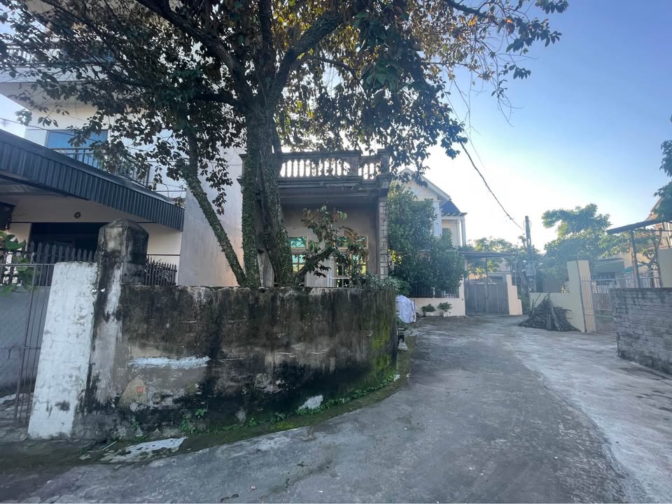 Đất nền thôn Định Hoà Đông Cương 145m² giá chỉ 2.25 tỷ - Cơ hội đầu tư tuyệt vời!