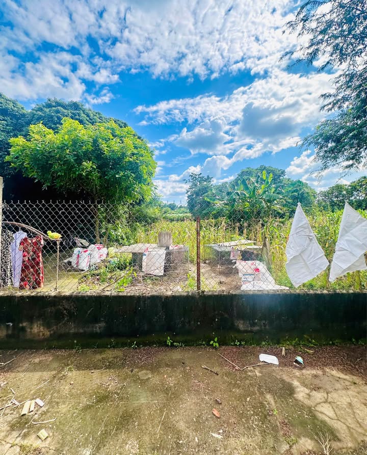 Đất thổ cư Ea Kao 350m² giá 1.199 tỷ - Vị trí đẹp gần chợ!