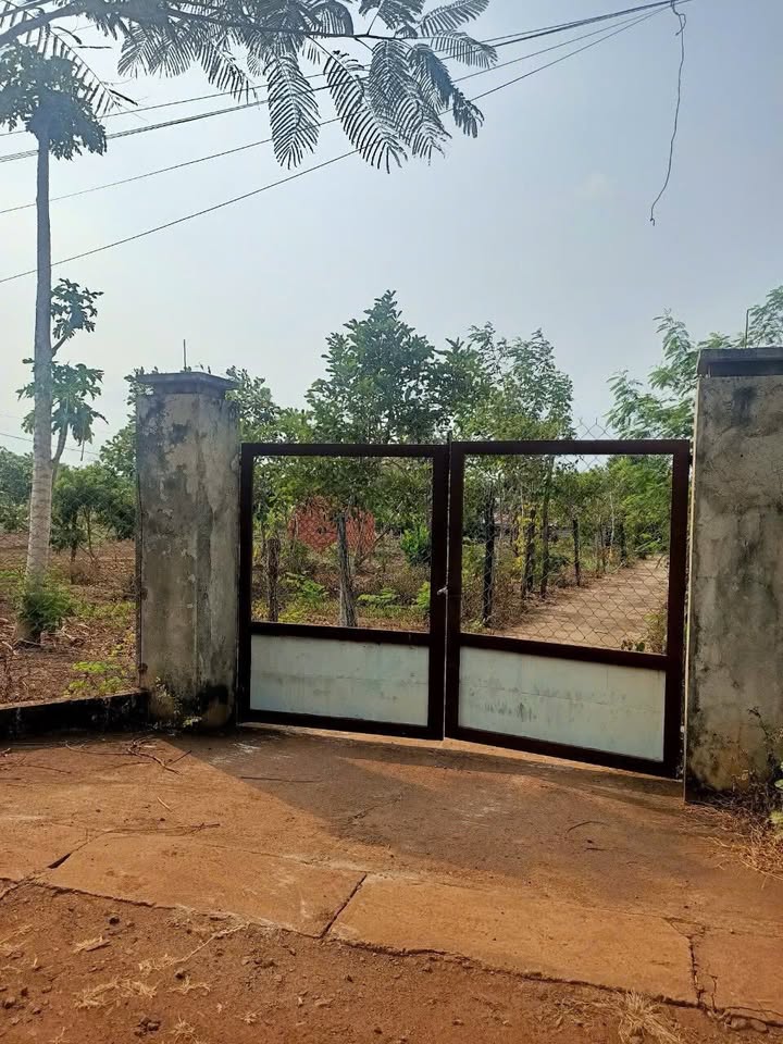 Đất thổ cư thôn 3, xã Ea Bar 375m² giá chỉ 9xx triệu - Tiềm năng sinh lời cao!