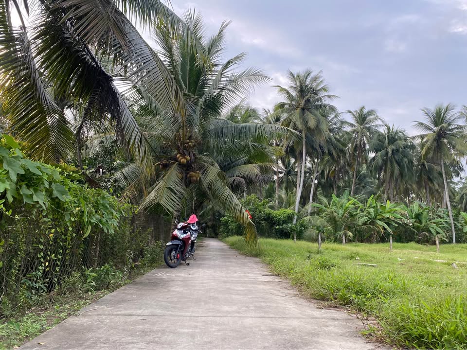 Đất nền Vĩnh Hựu Gò Công Tây 100m² giá 340 triệu - Đầu tư sinh lời ngay!