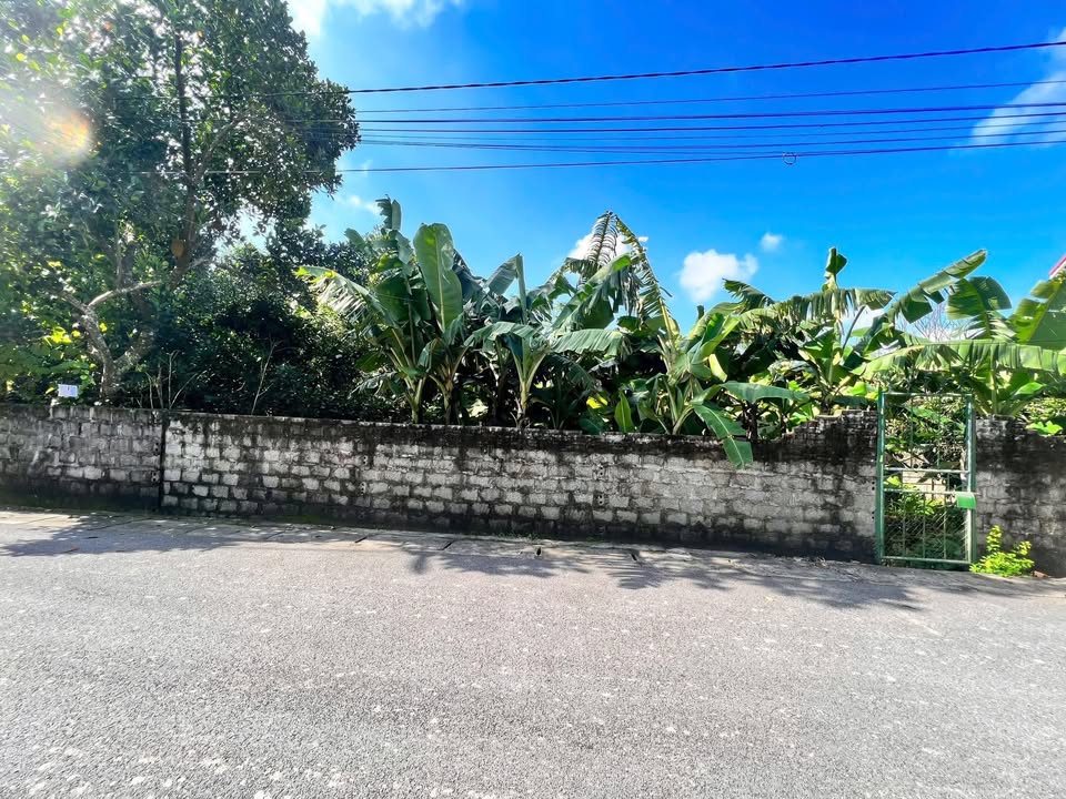 Đất nền Hòa Mạc, Duy Tiên 159m² giá 1.9 tỷ - Cơ hội đầu tư sinh lời cao!