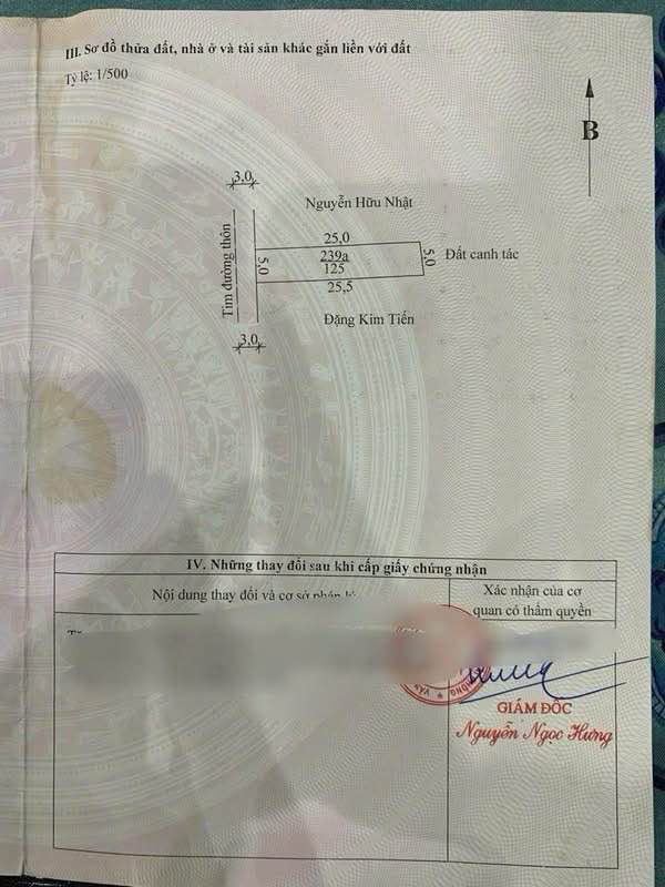 Đất nền Lão Phong, Tân Phong, Kiến Thụy 125m² giá 1.7 tỷ - Đầu tư sinh lời ngay!