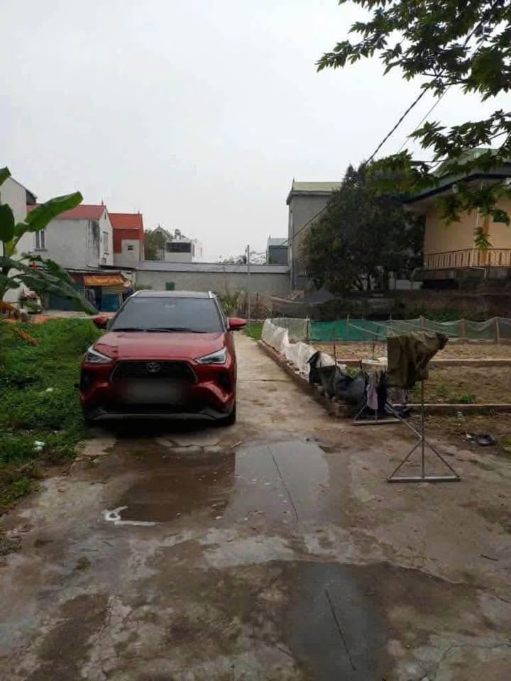 Đất thổ cư Thôn Đình Trung, Xuân Nộn, 41.2m² - Ô tô vào tận cửa, giá tốt!