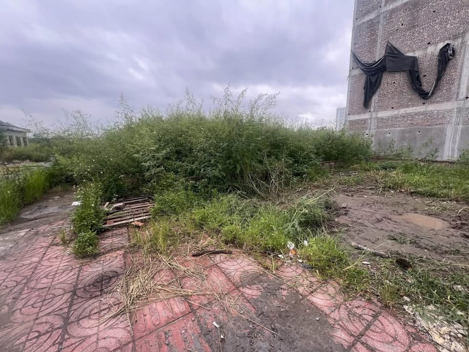 Đất phân lô TDC Ngọc Thụy 57m² giá 17.9 tỷ - Vị trí đắc địa sát công viên!