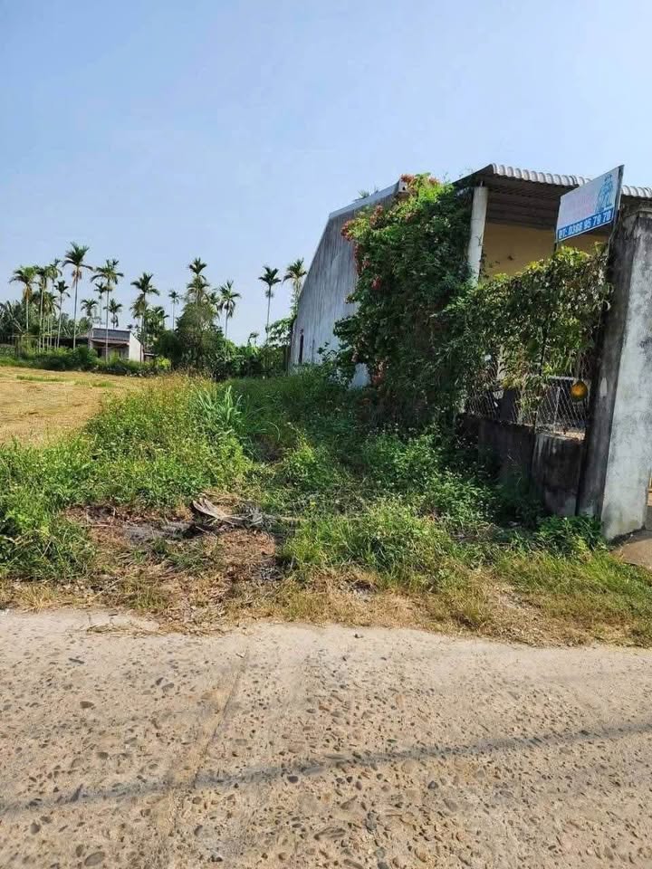 Đất nền Đức Nhuận Mộ Đức 150m² giá chỉ 500 triệu - Gần Quốc lộ 1A!