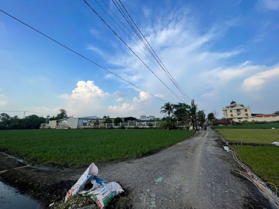 Đất vườn 1000m² Bình Mỹ - Củ Chi giá chỉ 4 tỷ - Đầu tư sinh lời!