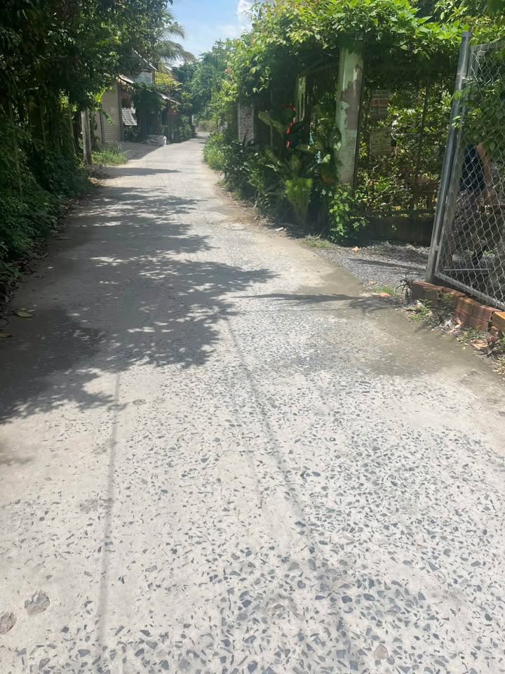 Đất nền mặt tiền 14x30m tại xã Mỹ Thọ, Đồng Tháp - Giá chỉ 850 triệu