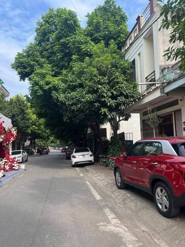 Đất nền đường Đô Đốc Lộc, Bắc Cường 220m² giá 6.8 tỷ - Sổ đỏ chính chủ, thương lượng hợp lý!