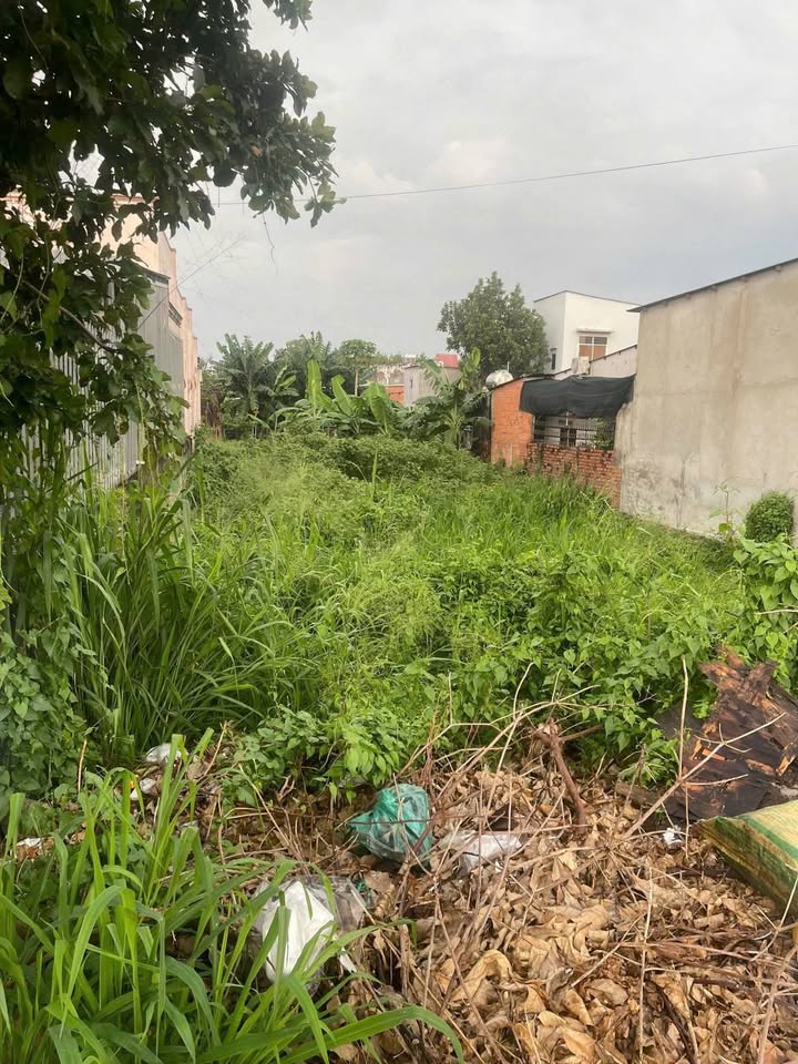 Đất mặt tiền Nguyễn Kim Cương, xã Tân Thạnh Đông, 500m² giá 5.9 tỷ - Đầu tư sinh lời!