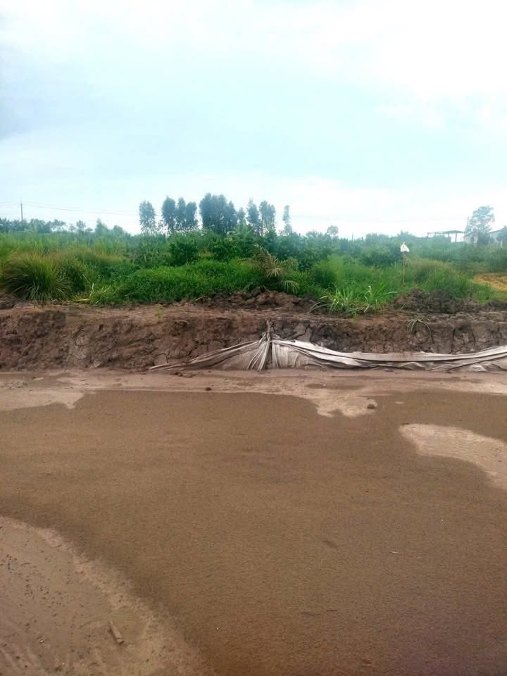 Đất nền mặt tiền TL864, Gò Công, Tiền Giang - Diện tích 825m² giá chỉ 1.8 tỷ