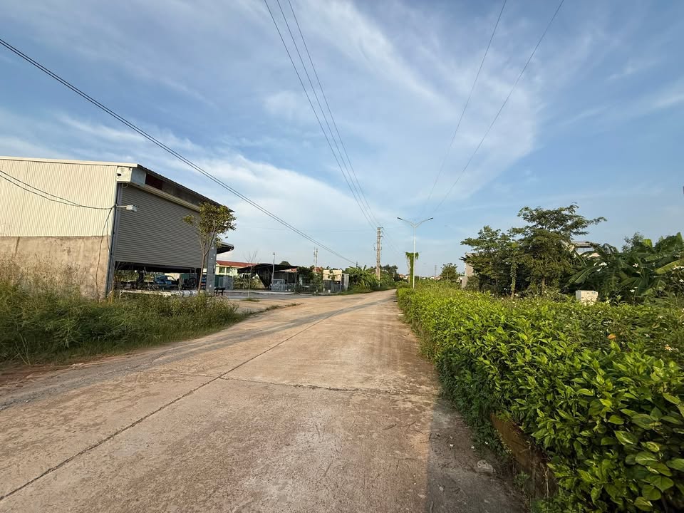 Đất nền đường 27m Đồng Dộc, Hội Hợp, 115m² - Giá chỉ 4.83 tỷ!