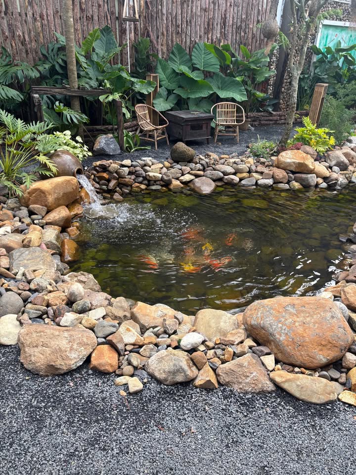 Đất Farm 3,2ha tại Phi Liêng, Đam Rông - Giá chỉ 6,5 tỷ - Sổ đỏ chính chủ!