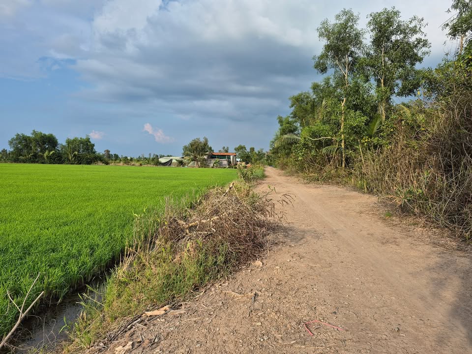 Đất nền mặt tiền kênh Ngan 1500m² giá 1.5 tỷ - Sổ đỏ chính chủ