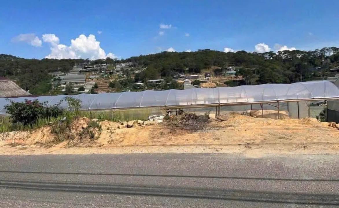 Đất nền Đà Lạt 256m² giá 13.2 tỷ - Cơ hội đầu tư tuyệt vời!