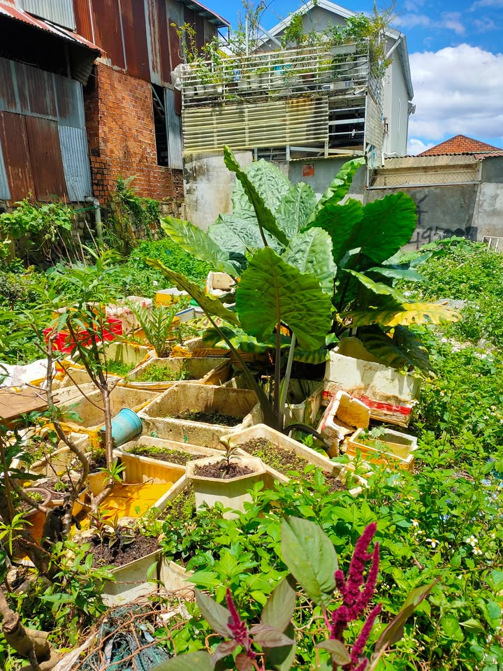 Đất nông nghiệp Đà Lạt 138m² giá chỉ 2,5 tỷ - Đầu tư sinh lời ngay!