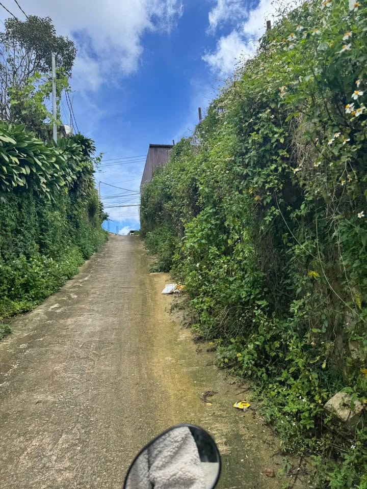 Nhà đôi giá rẻ tại Ngô Thì Sỹ, Đà Lạt 90m² chỉ 1.6 tỷ - Cơ hội đầu tư tuyệt vời!