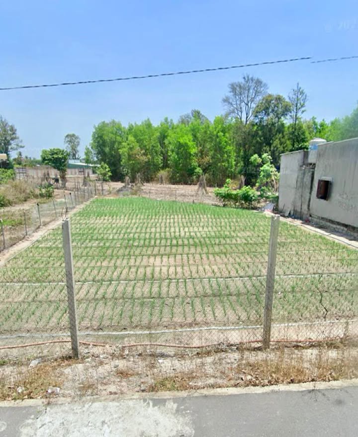 Đất Phước Hải 400m² giá 2.3 tỷ - Cơ hội đầu tư hấp dẫn!