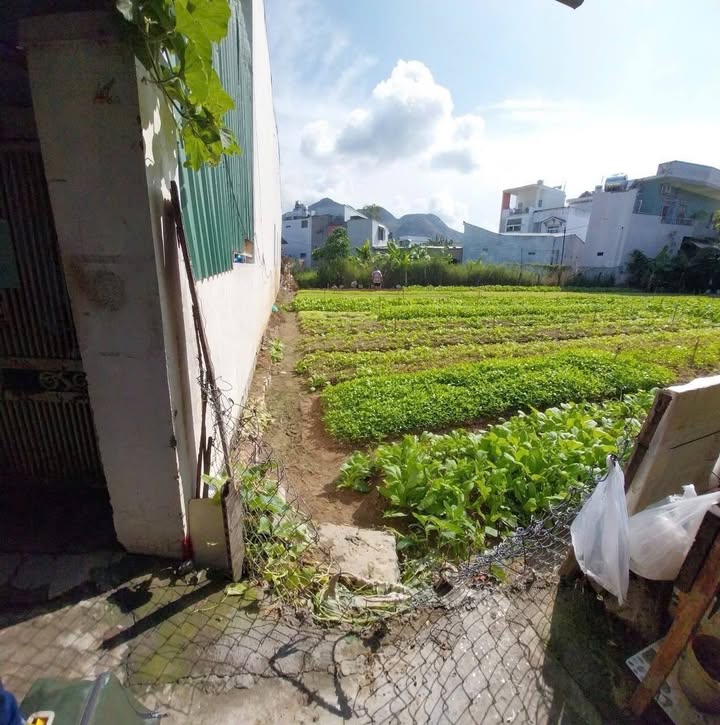 Bán lô đất Phú Xương, Vĩnh Hải, Nha Trang 88m² - Đầu tư sinh lời tốt!