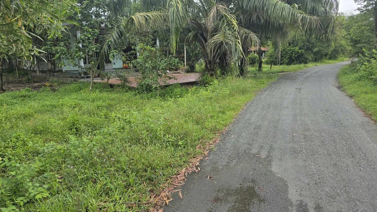 Đất nhà vườn 1086m² giá 2,2 tỷ - Cơ hội đầu tư tuyệt vời tại Củ Chi!