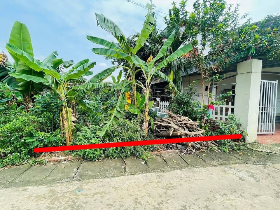 Đất thổ cư Phú Cát 90m² giá rẻ - Tiềm năng đầu tư lớn!