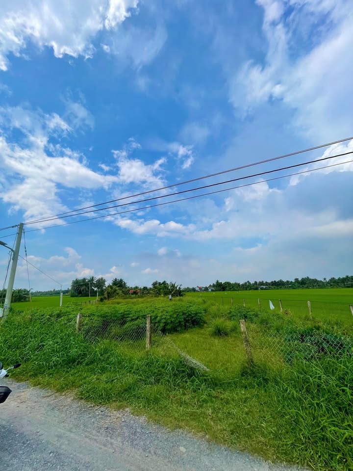 Bán đất xây nhà vườn view kênh – Long Vĩnh, Tiền Giang 1.677m² giá 1.35 tỷ - Cơ hội đầu tư tuyệt vời!