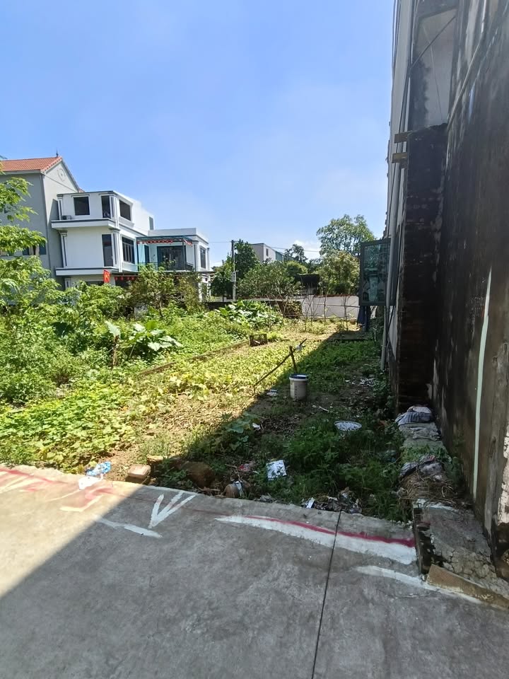 Đất nền 47m² tại Tân Phú, Quốc Oai - Giá chỉ 3 tỷ, ô tô đỗ cửa!