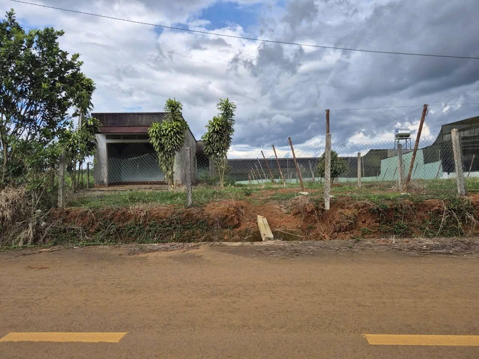 Đất mặt tiền Nguyễn Trãi, Bảo Lộc 560m² giá 14 tỷ - Cơ hội đầu tư hấp dẫn!