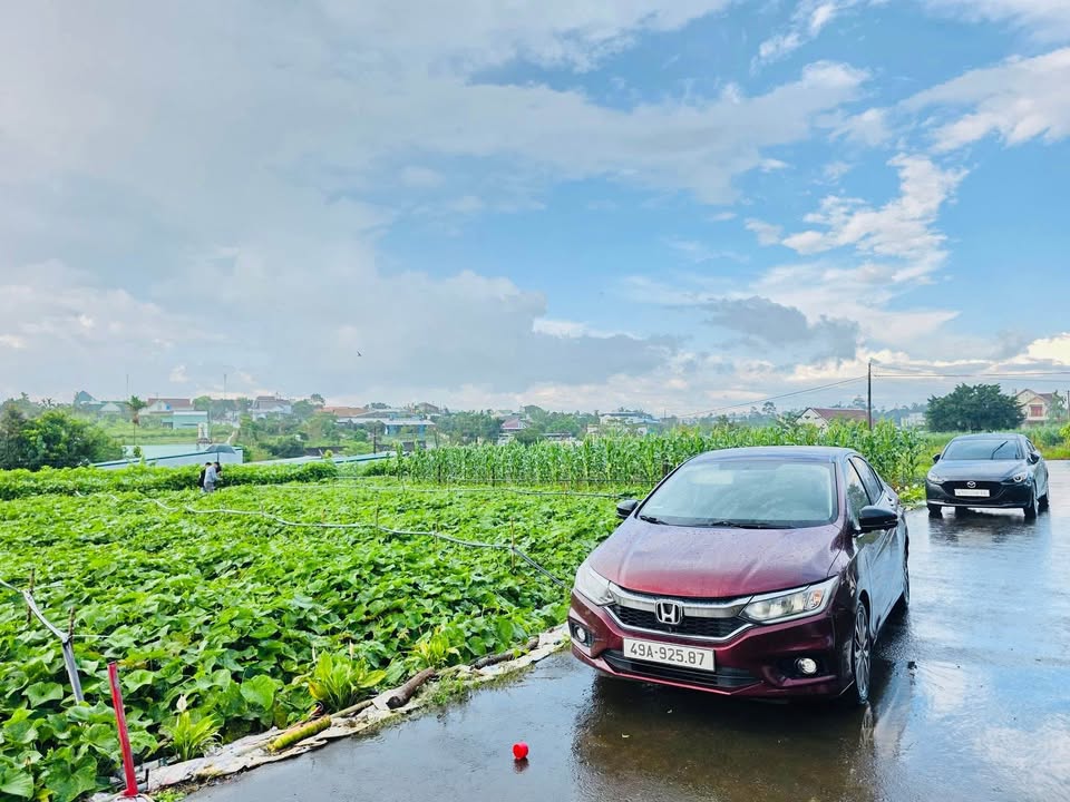 Đất nền Bảo Lộc 100m² giá 1.9 tỷ - Vị trí đẹp, pháp lý rõ ràng!