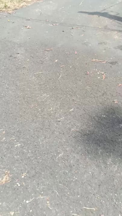 Đất thổ cư mặt tiền ĐT 741, Đồng Phú 1000m² giá 1.35 tỷ - Pháp lý rõ ràng!