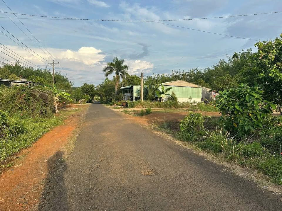 Đất nền mặt tiền nhựa 170m² tại Thuận Phú, Đồng Phú - Giá chỉ 400 triệu!