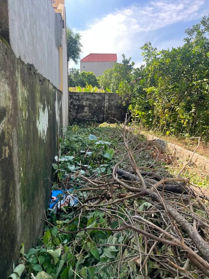 Đất Nhị Khê, Thường Tín 55m² giá 3.15 tỷ - Cơ hội đầu tư sinh lời!