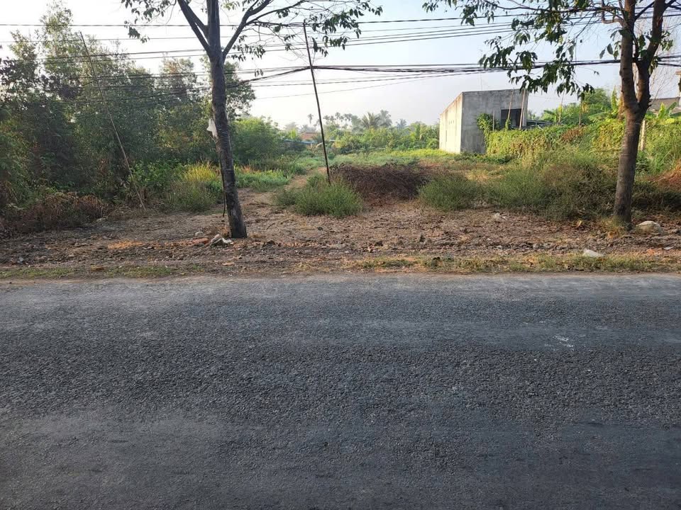 Đất thổ cư mặt tiền 14m tại ấp 10, xã Lương Hòa, 644m² giá 6.5 tỷ - Cơ hội đầu tư hấp dẫn!